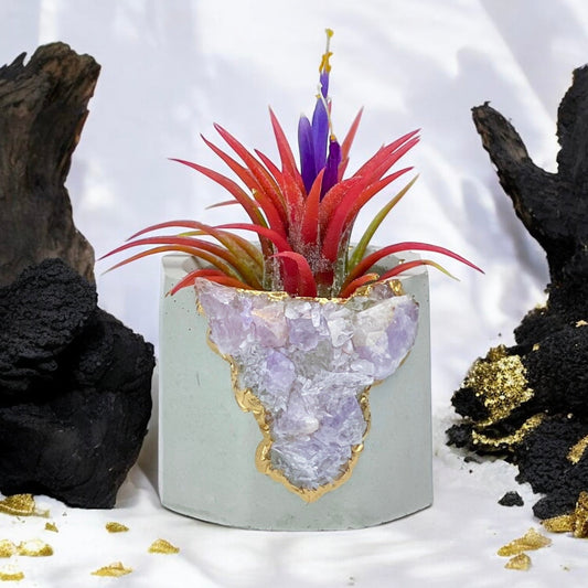 Madagascar AMETHYST GEODE PLANTER - Concordia Style Boutique