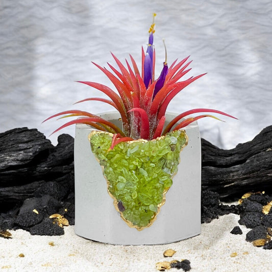 GREEN PERIDOT GEODE PLANTER - Concordia Style Boutique