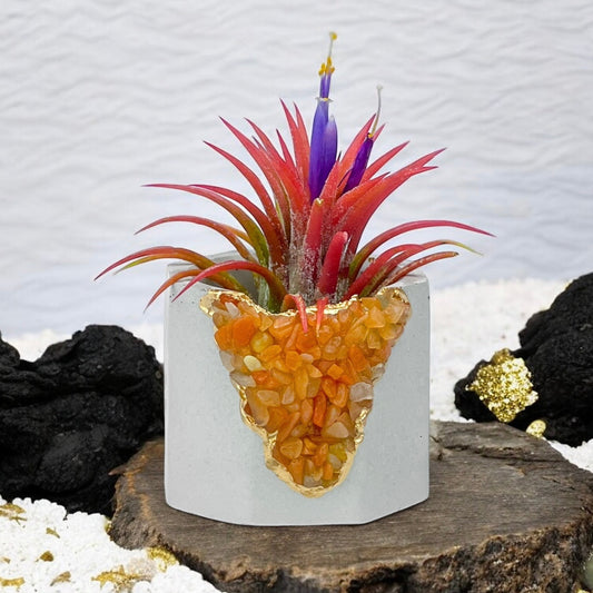 RED AVENTURINE GEODE PLANTER - Concordia Style Boutique
