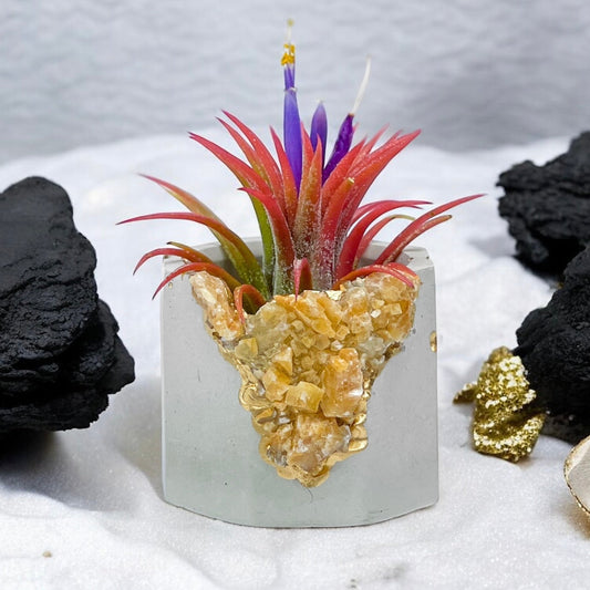 ORANGE CALCITE GEODE PLANTER - Concordia Style Boutique