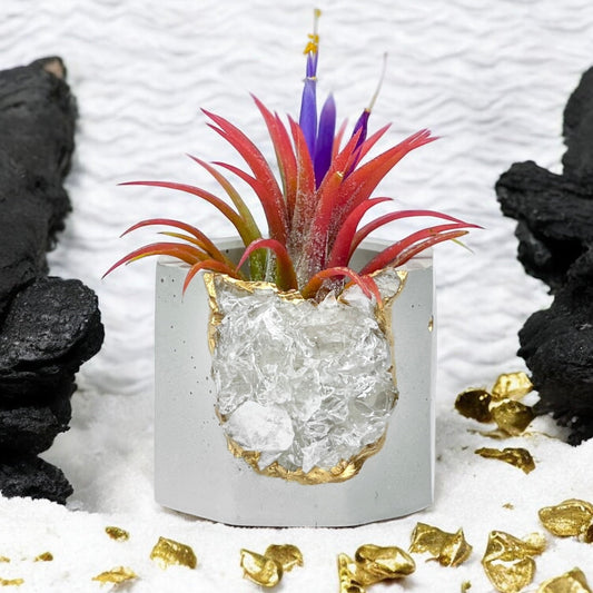 Raw CLEAR QUARTZ GEODE PLANTER - Concordia Style Boutique