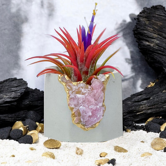 Raw ROSE QUARTZ GEODE PLANTER - Concordia Style Boutique