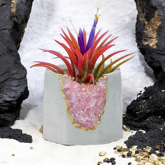 ROSE QUARTZ GEODE PLANTER - Concordia Style Boutique