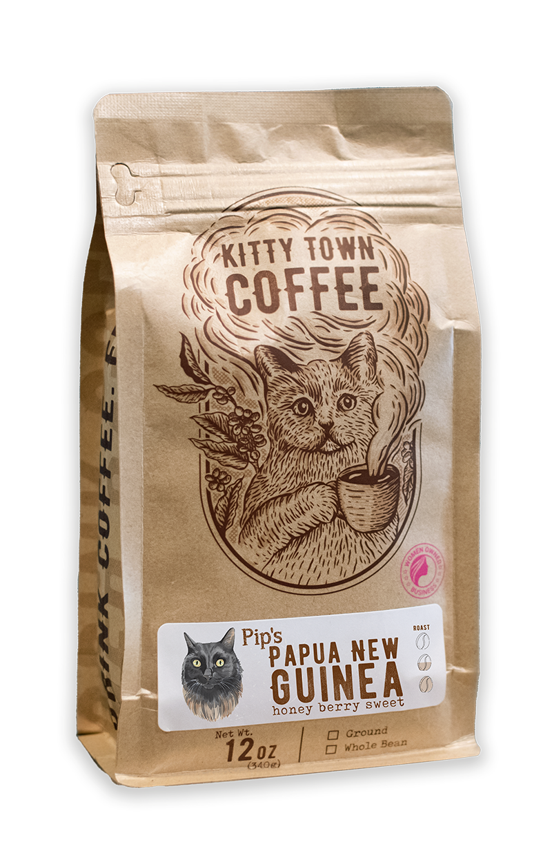 Single Origin Sampler: Simba, Tia, Pip & Thuthan - Concordia Style Boutique