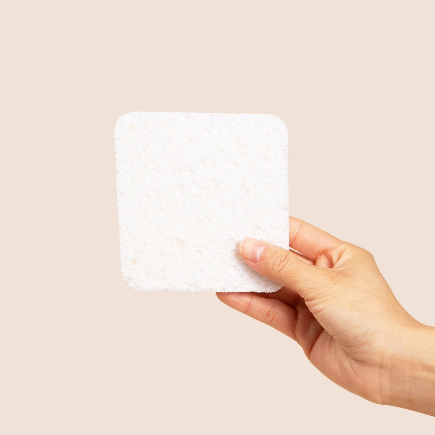 Soak Sponge