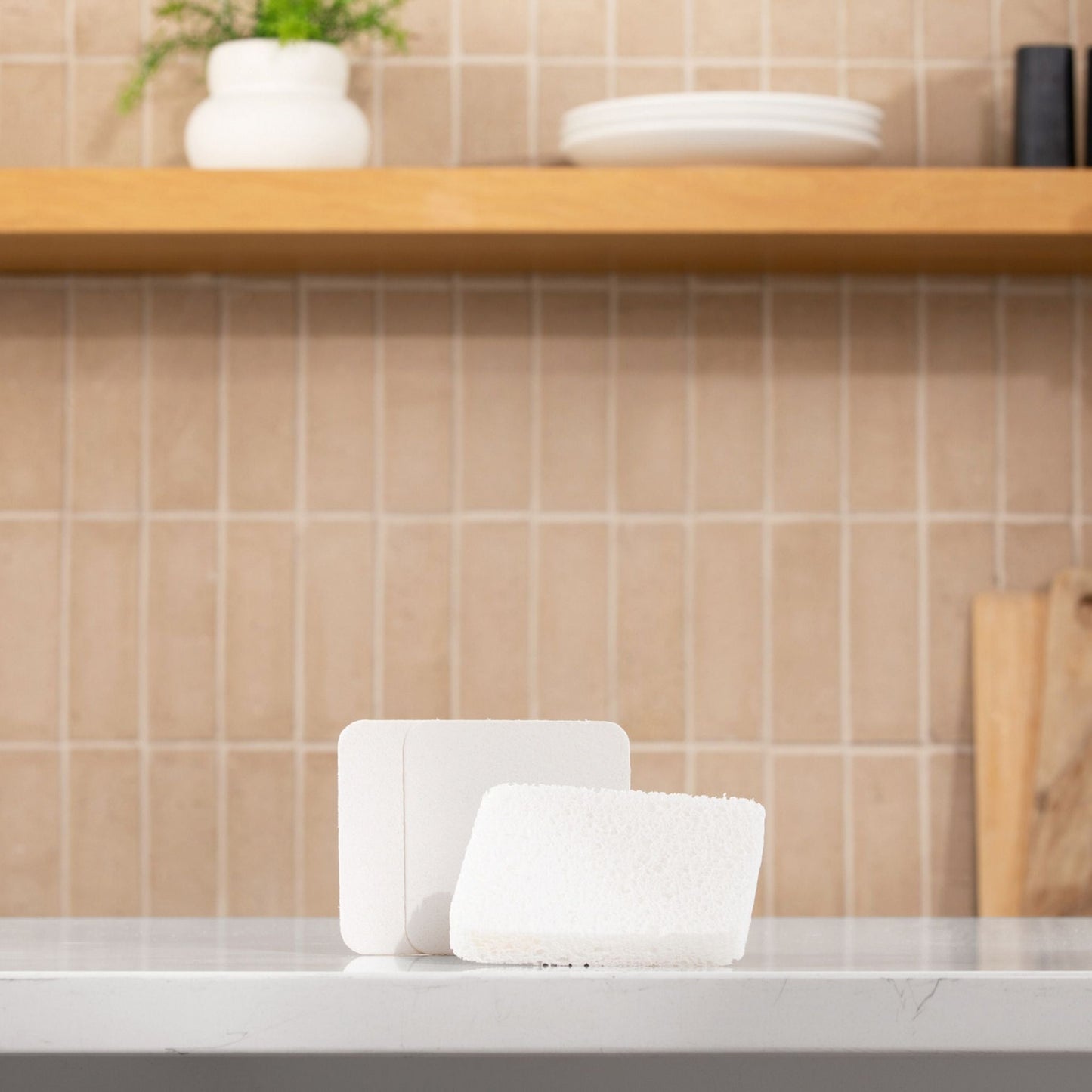 Soak Sponge