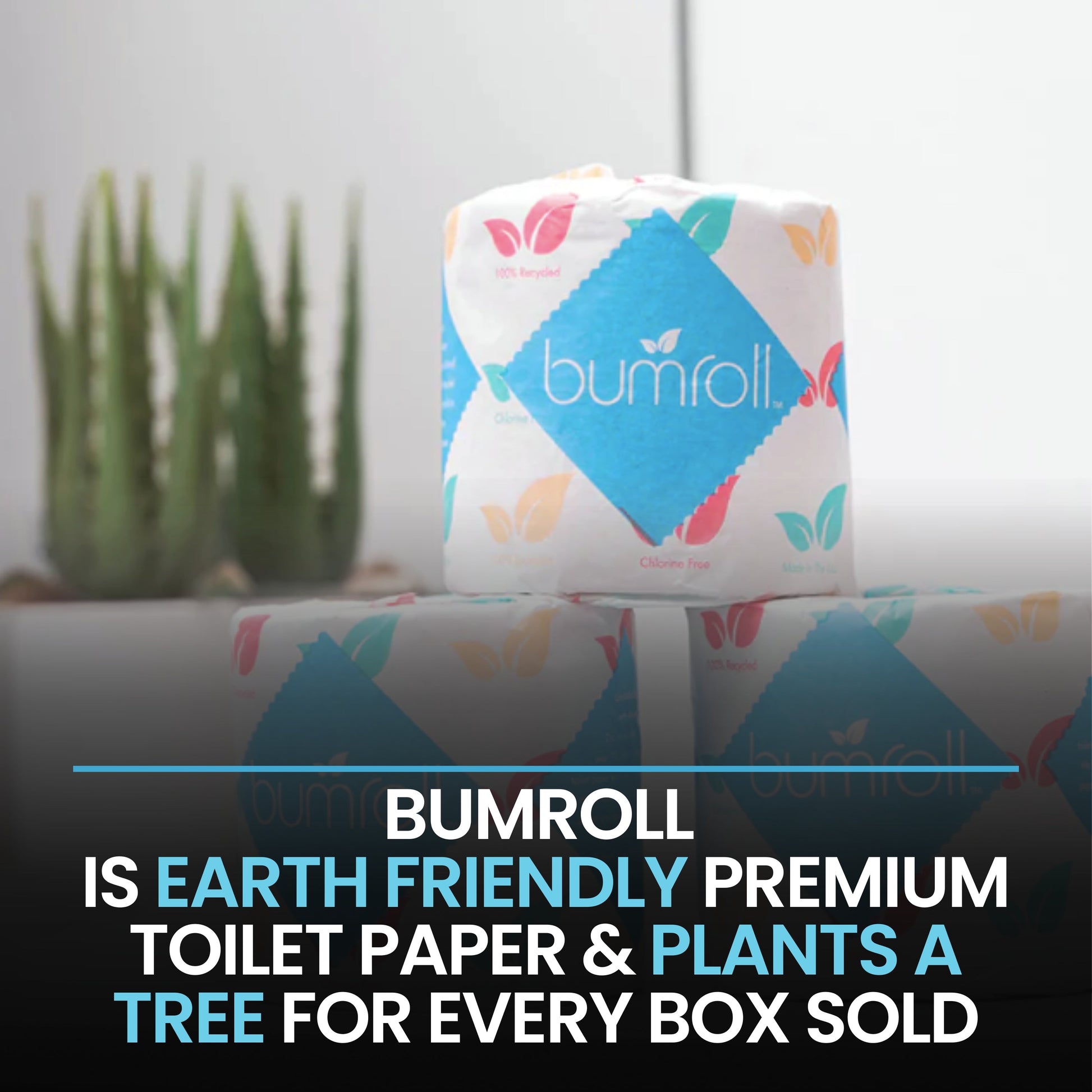 Bumroll USA Premium Toilet Paper, Plants Trees In The USA - Concordia Style Boutique
