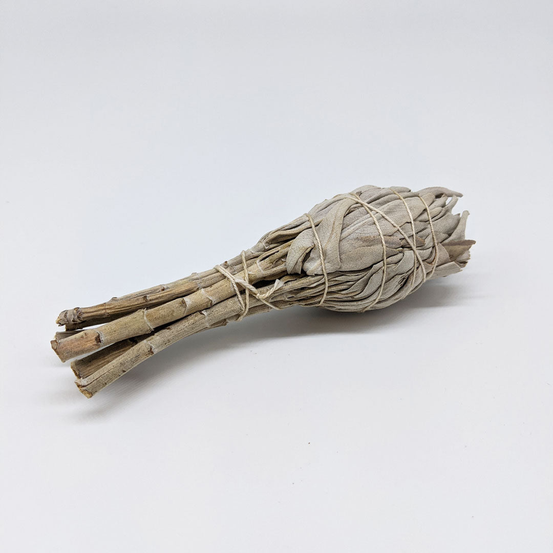 Organic White Sage Torch-Style Smudge Stick - Concordia Style Boutique