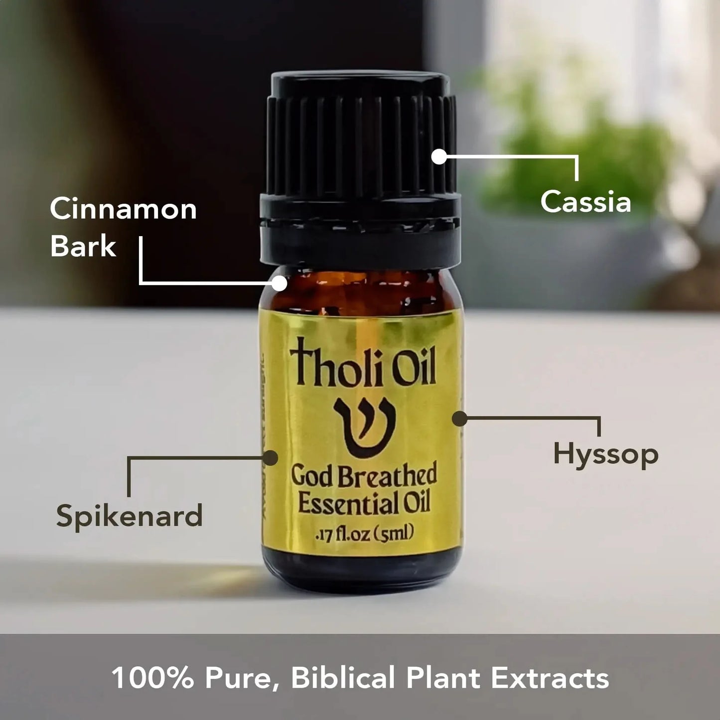 Tholi Oil PURE Essential Oil - God Breathed Tholi Essential Oil