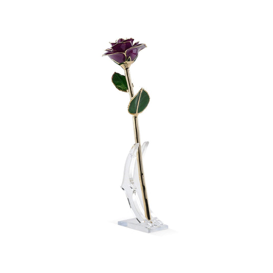 Timeless Rose (Purple) - Concordia Style Boutique