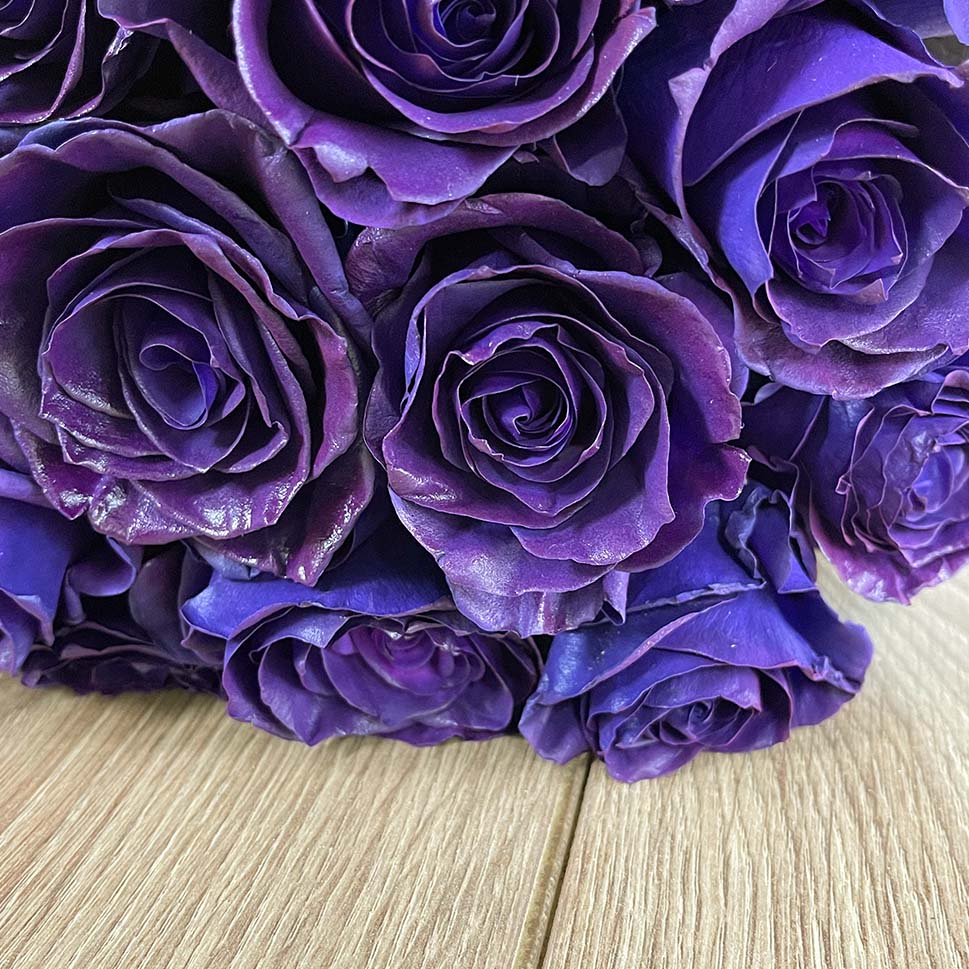 PURPLE STRAVAGANZZA