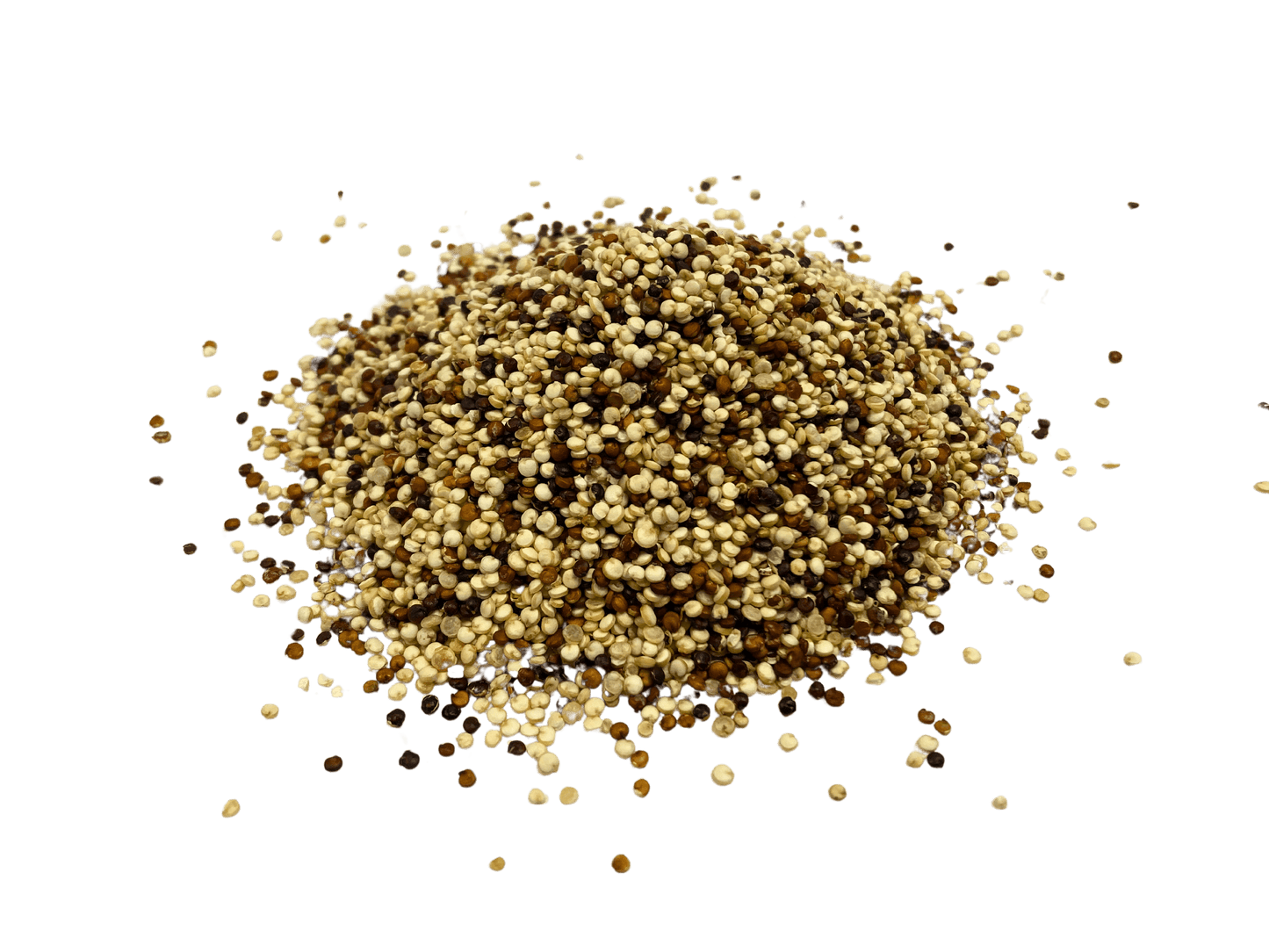 Quinoa, Tri-Color, Organic - Concordia Style Boutique