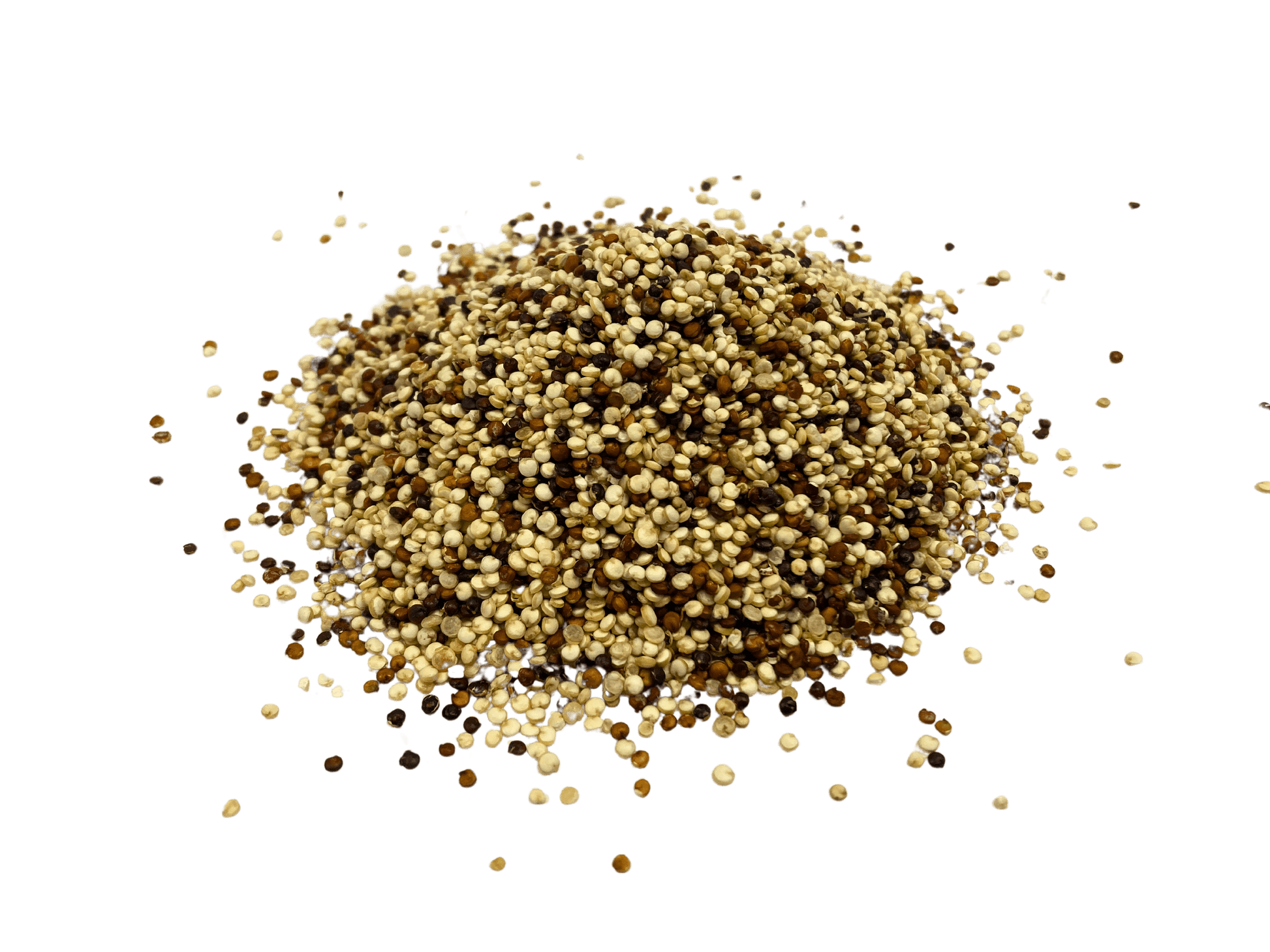 Quinoa, Tri-Color, Organic - Concordia Style Boutique