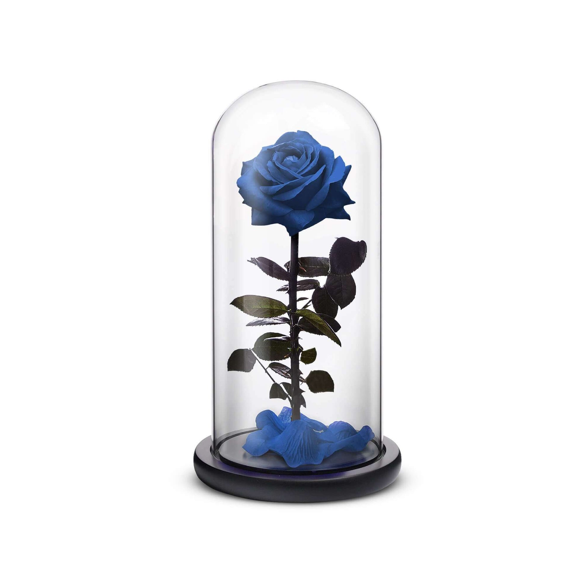 Everlasting Rose (Blue) - Concordia Style Boutique