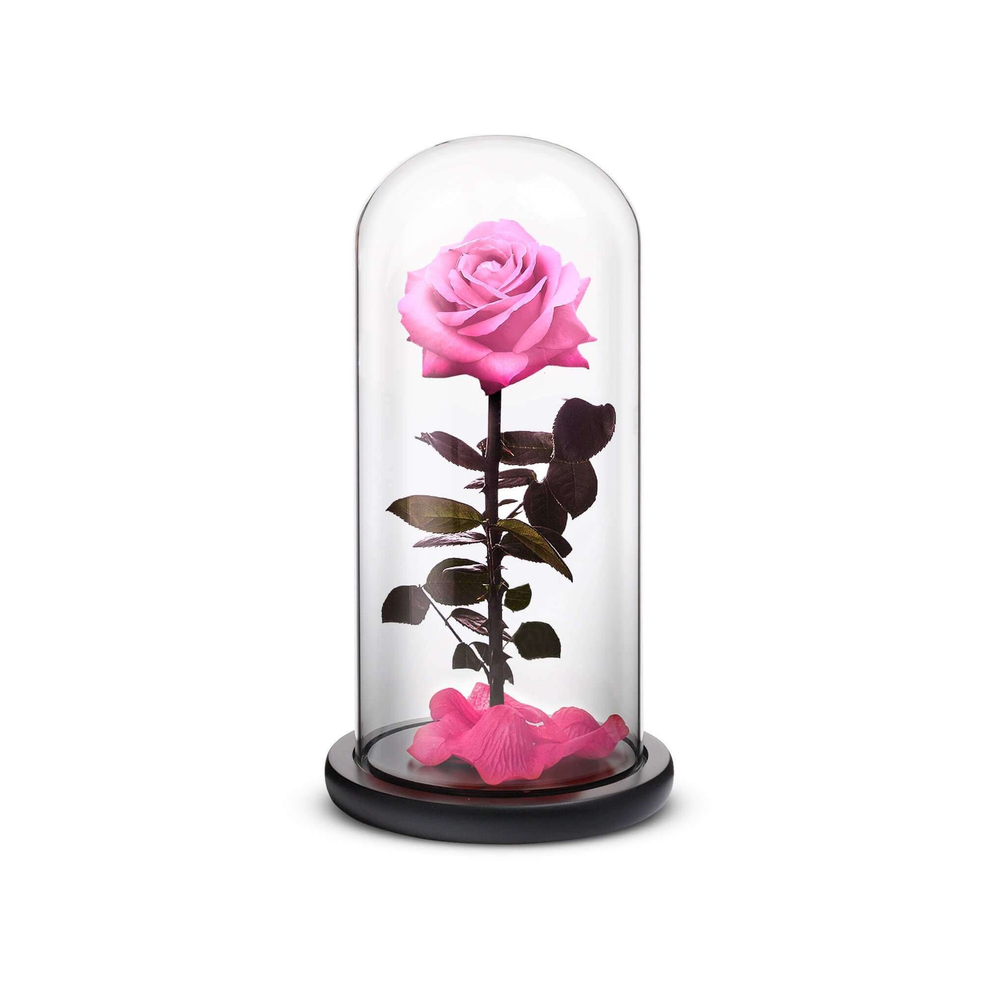 Everlasting Rose (Pink) - Concordia Style Boutique