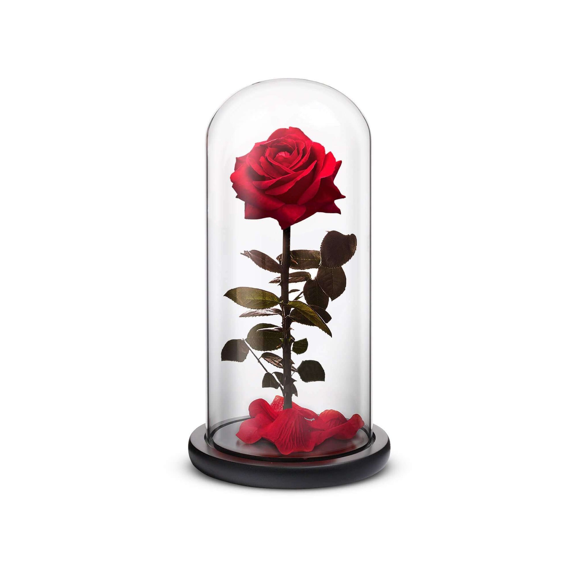 Everlasting Rose (Red) - Concordia Style Boutique