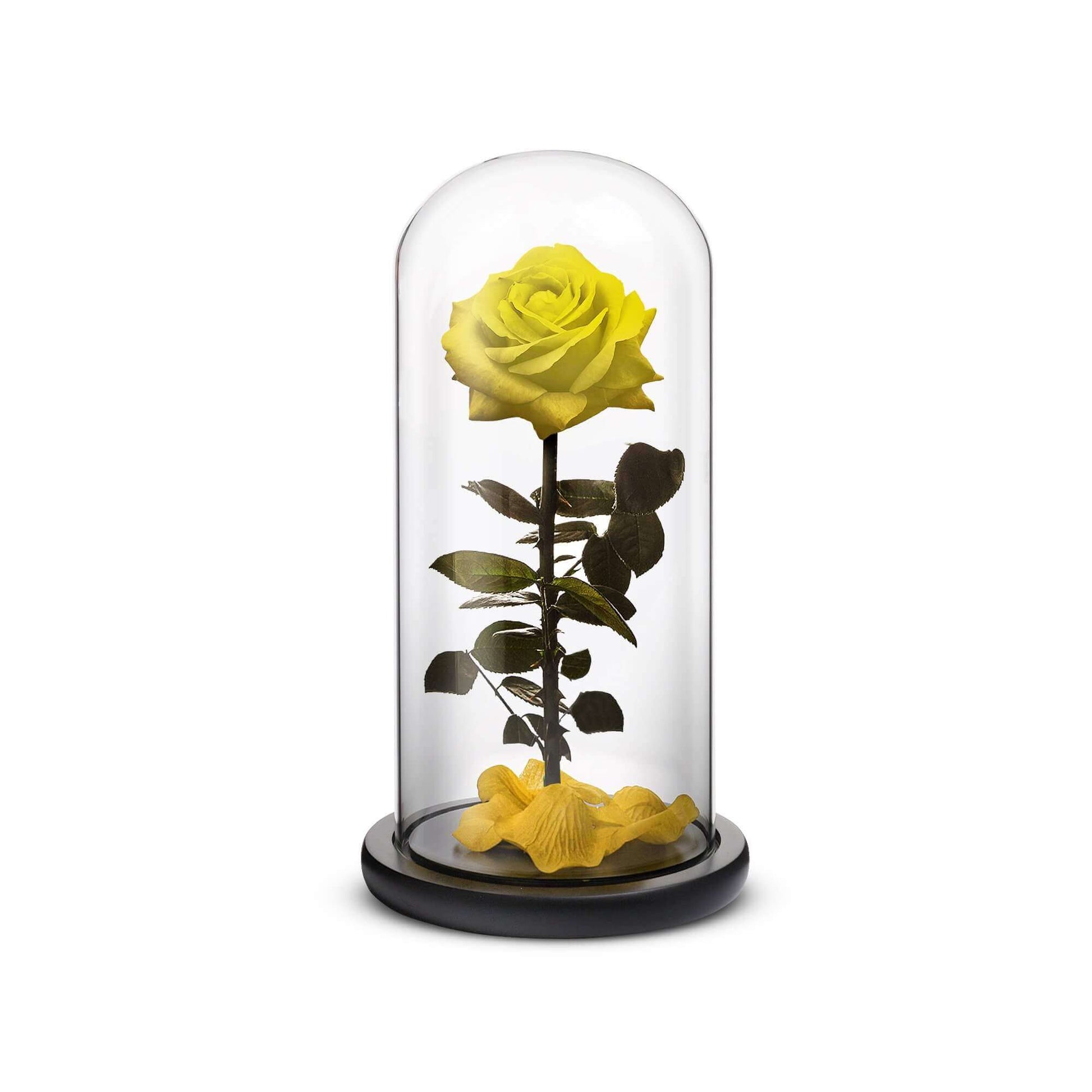 Everlasting Rose (Yellow) - Concordia Style Boutique