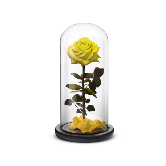 Everlasting Rose (Yellow) - Concordia Style Boutique