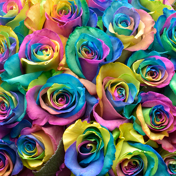 RAINBOW #LOVEISLOVE
