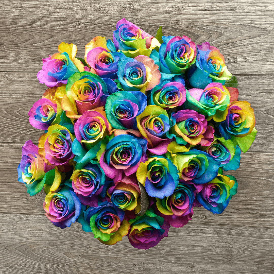 RAINBOW #LOVEISLOVE