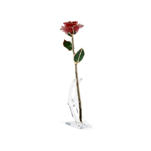Timeless Rose (Red) - Concordia Style Boutique