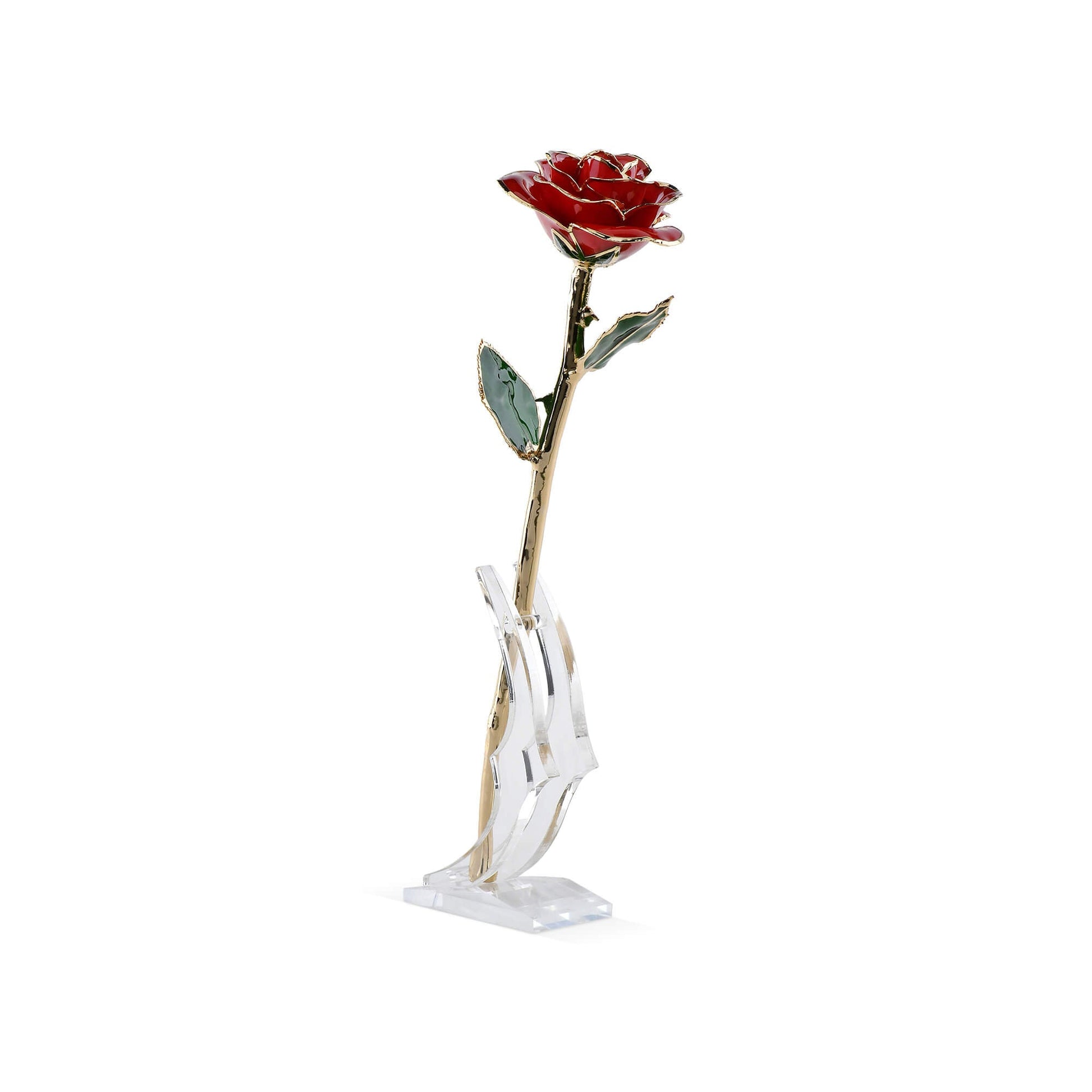 Timeless Rose (Red) - Concordia Style Boutique