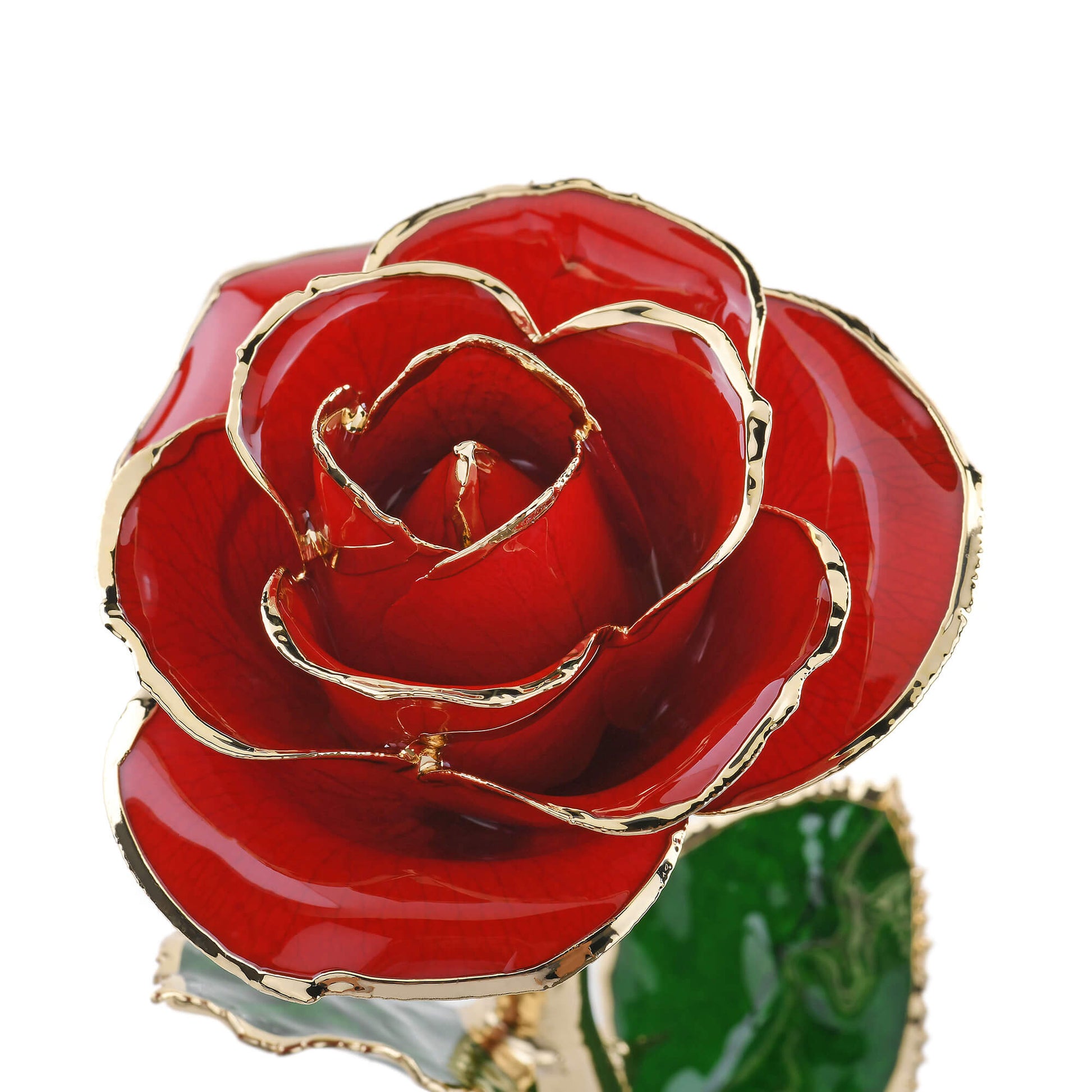Timeless Rose (Red) - Concordia Style Boutique