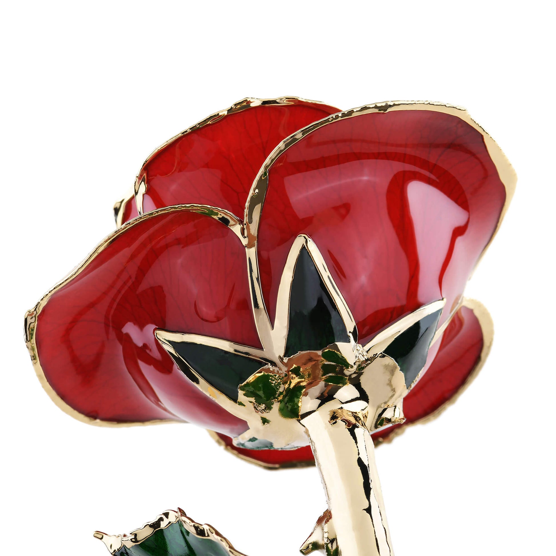 Timeless Rose (Red) - Concordia Style Boutique