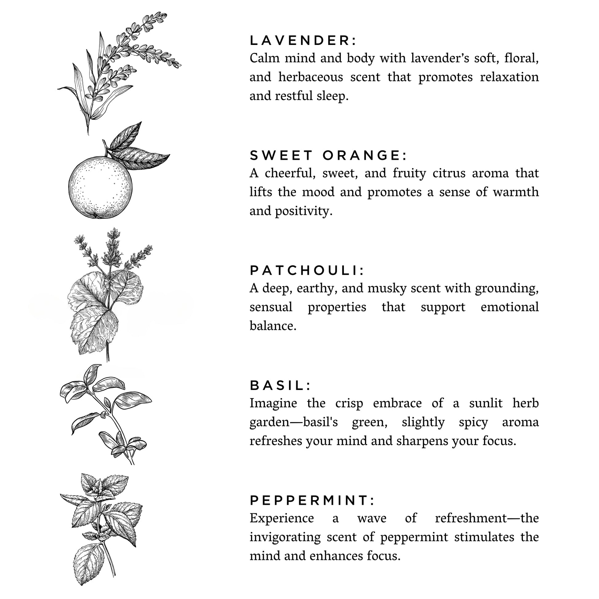 Revive Bath Salts - 25 oz Refill Bag - Concordia Style Boutique