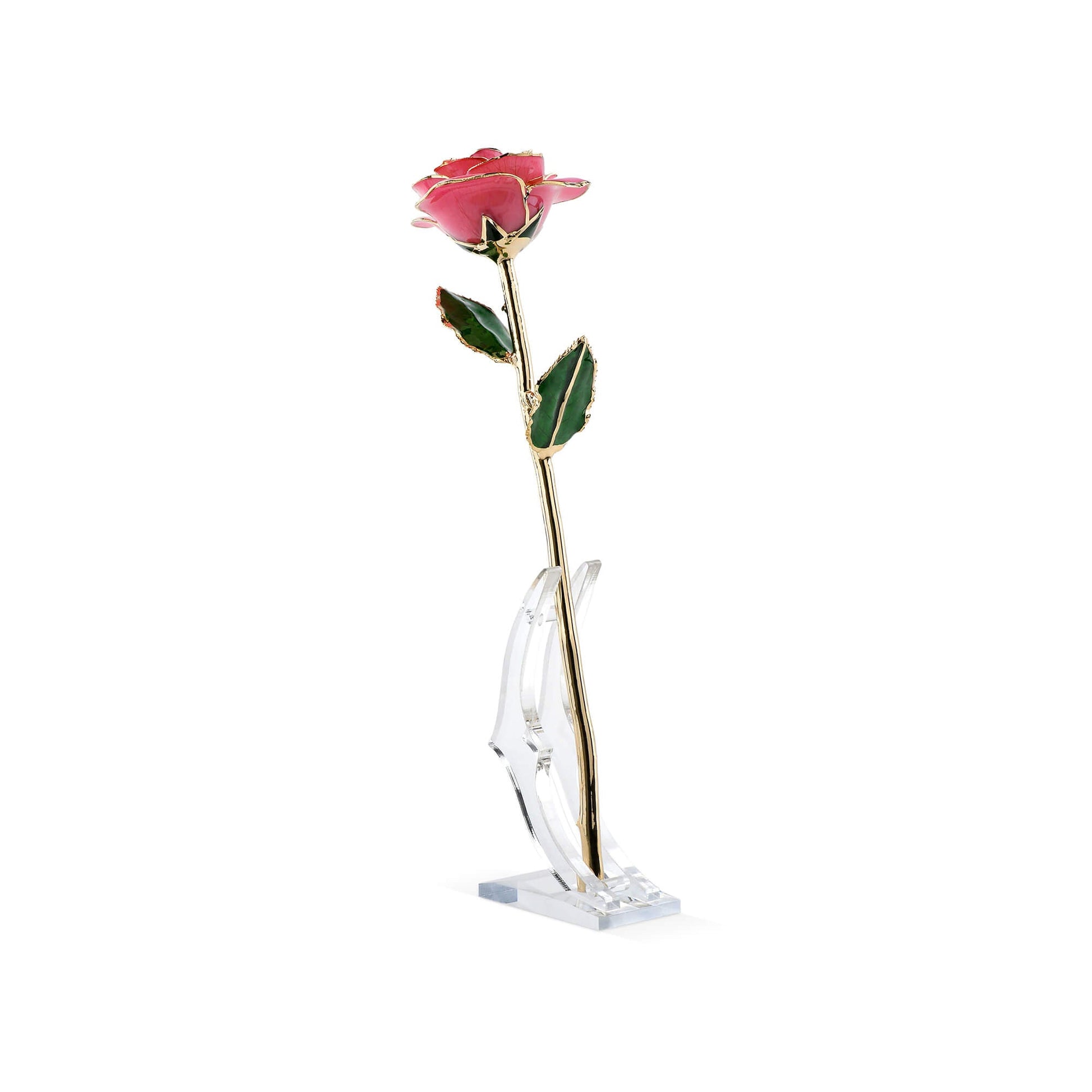 Timeless Rose (Rich Pink) - Concordia Style Boutique