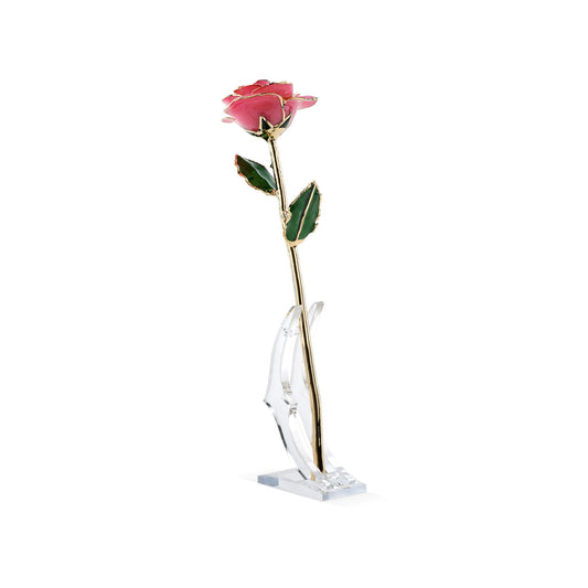 Timeless Rose (Rich Pink) - Concordia Style Boutique