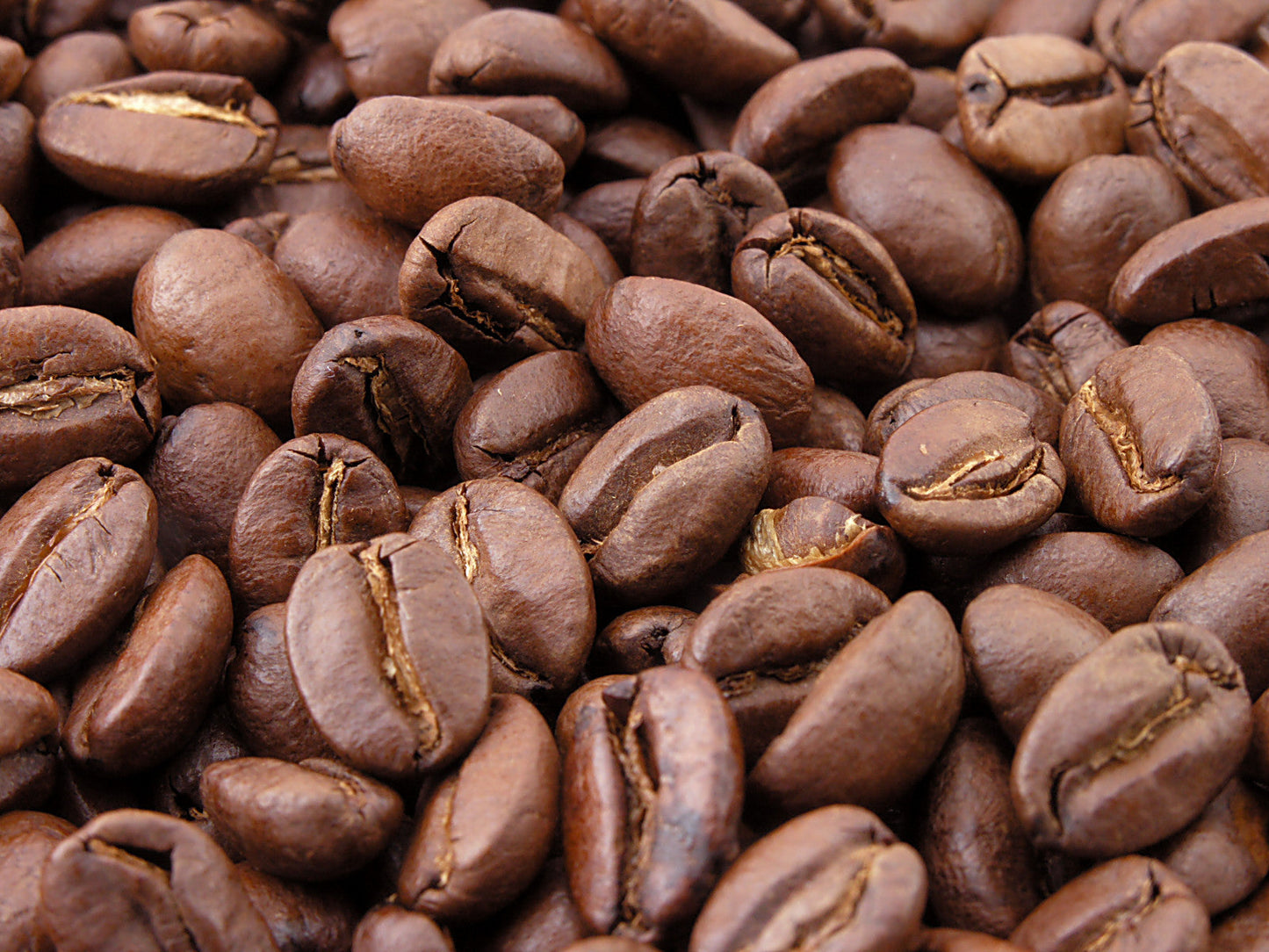 Wholesale Only - Coffee - Bulk Beans - 5 lbs