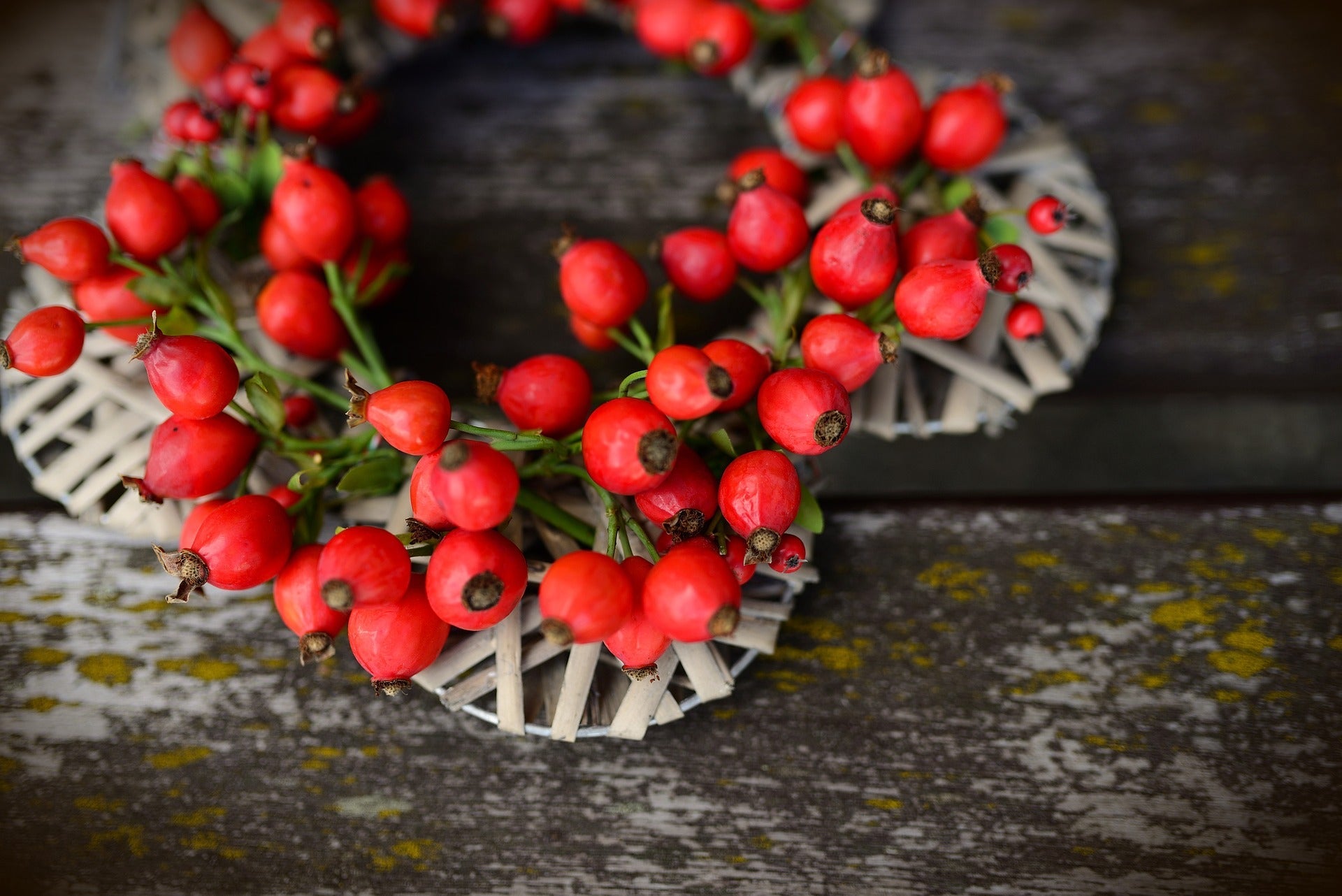 Rosehips Seedless, Cut, Sifted - Concordia Style Boutique