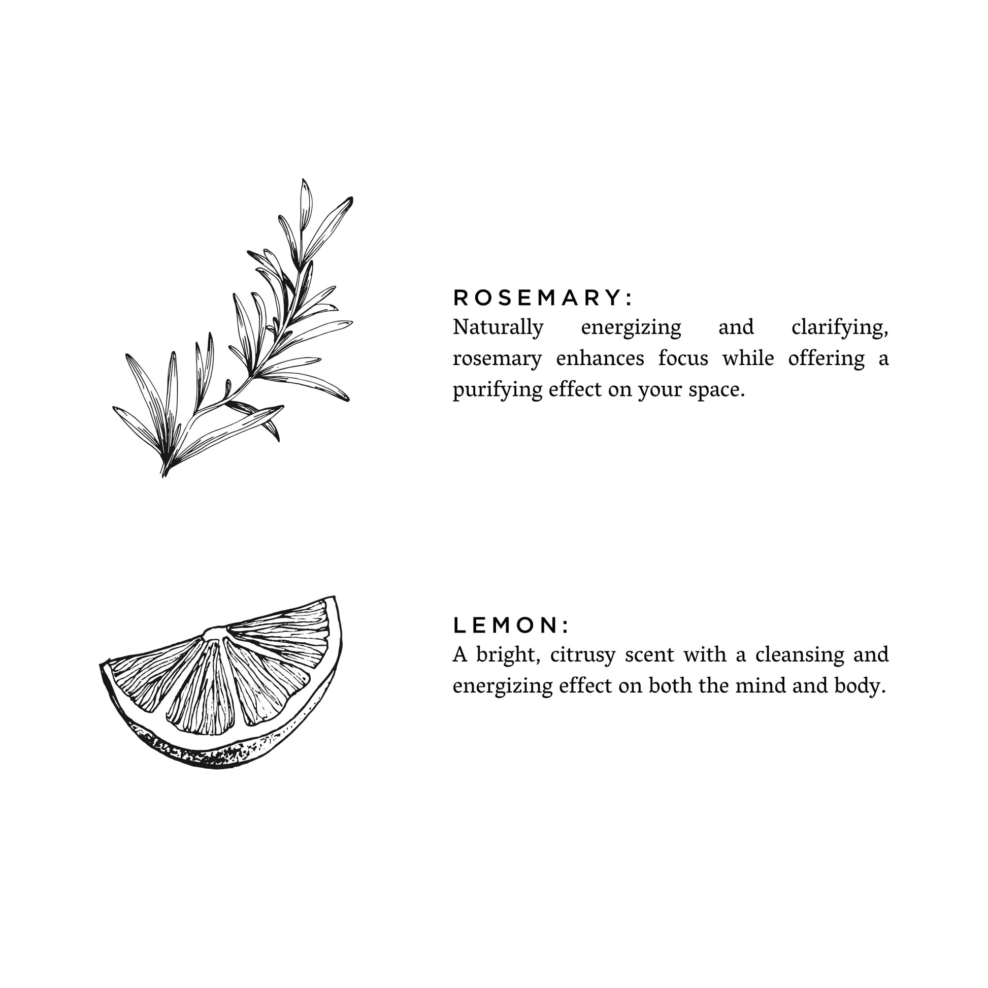 Rosemary + Lemon - Signature Candle - Concordia Style Boutique