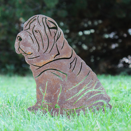 Shar Pei