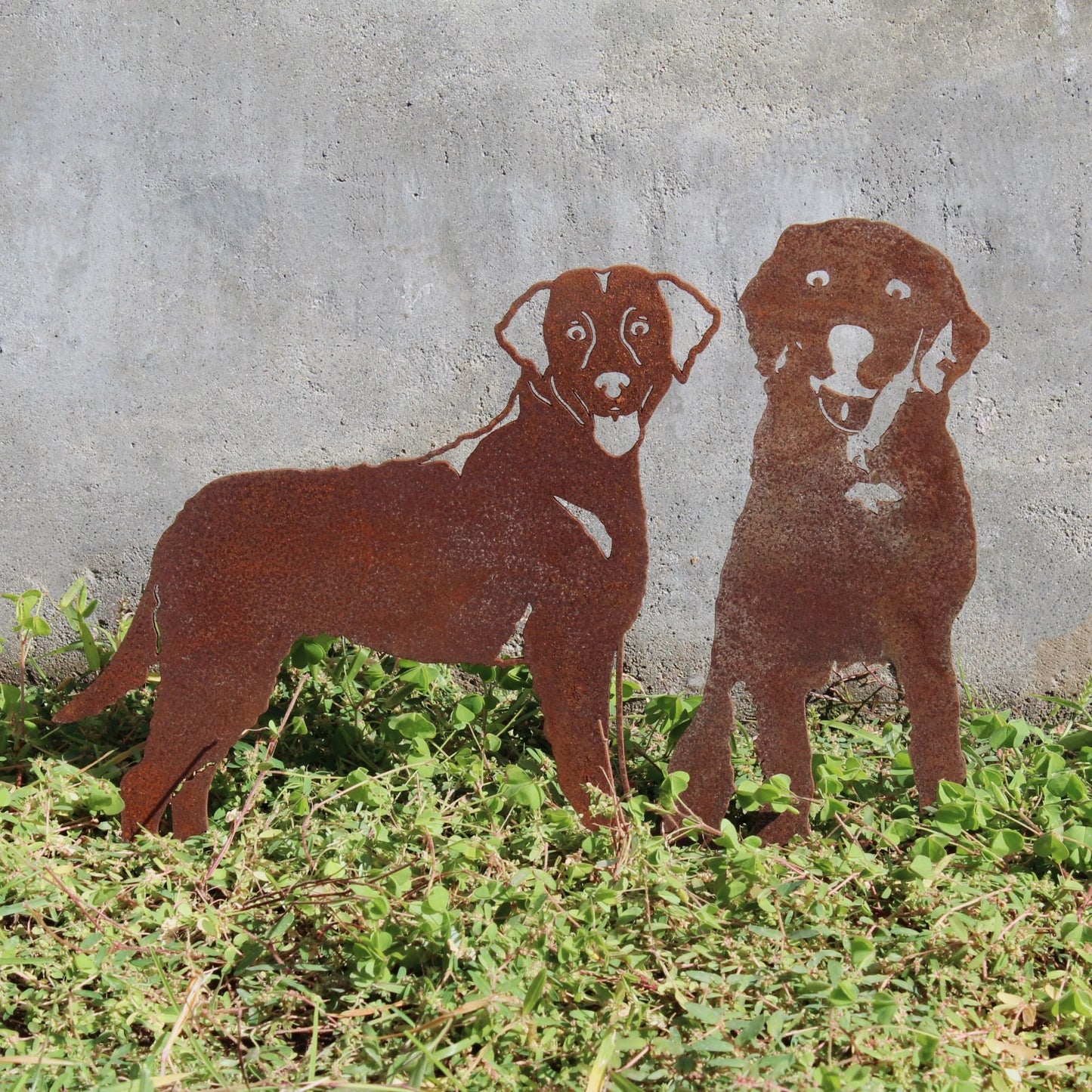 Chesapeake Bay Retriever Metal Art – Handmade Steel Dog Silhouette