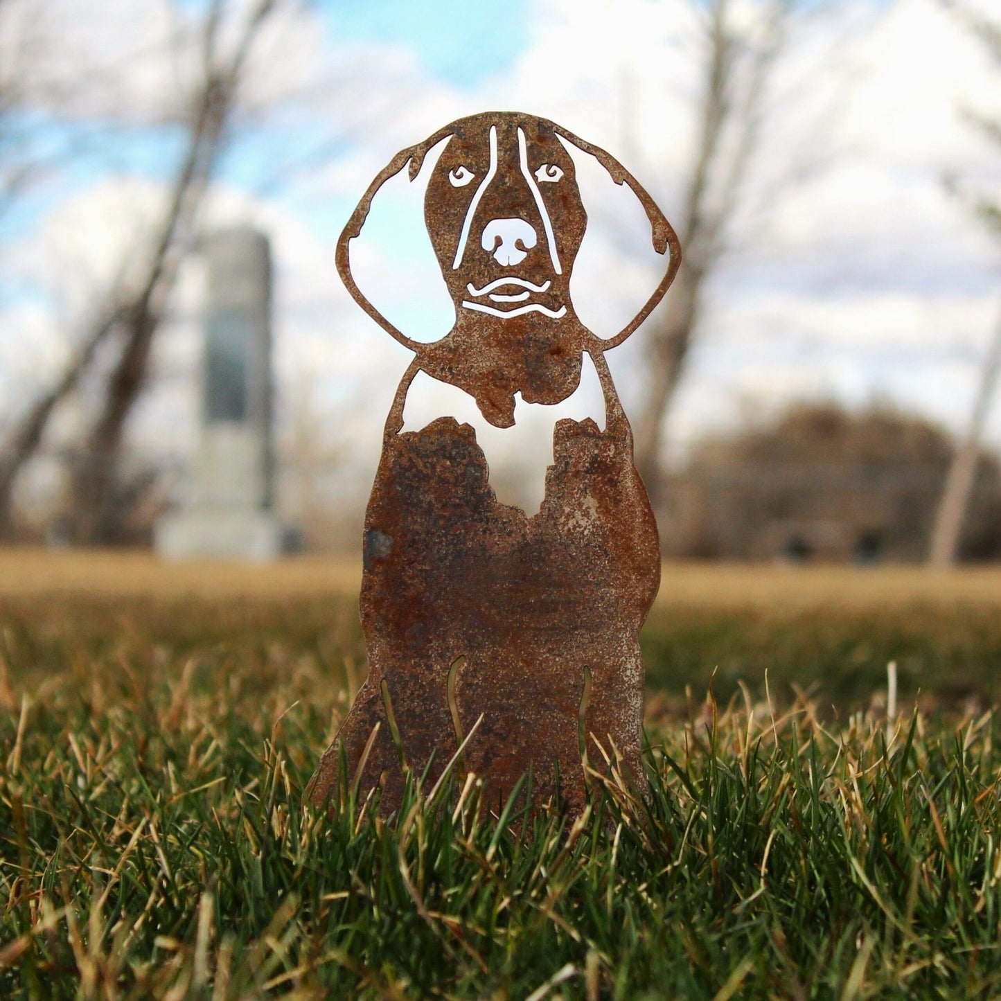 Treeing Walker Coonhound