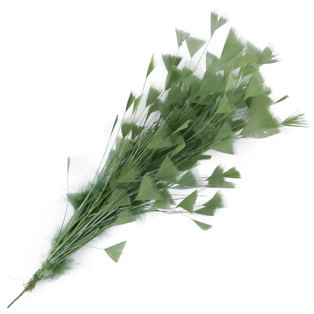 10-12Inch Feather Plumes