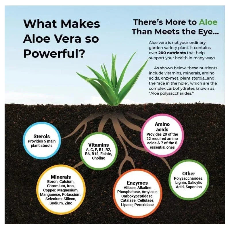 Aloe Vera Capsules - Fat Burner, Slimming Detox, Supports Digestive Immune Health, for Heart and Joint Health