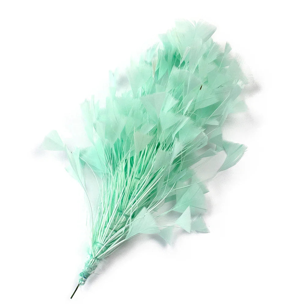 10-12Inch Feather Plumes