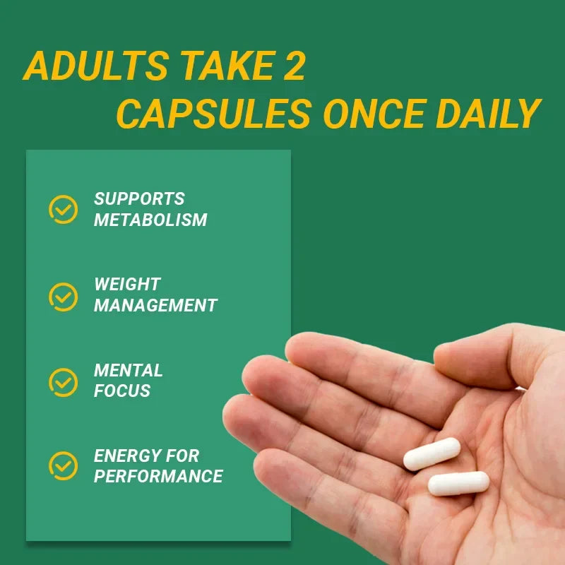 Green Tea Extract - Boosts Metabolism, Supports Heart and Brain Health, Enhances Memory, Immune System