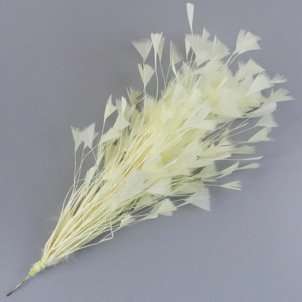 10-12Inch Feather Plumes