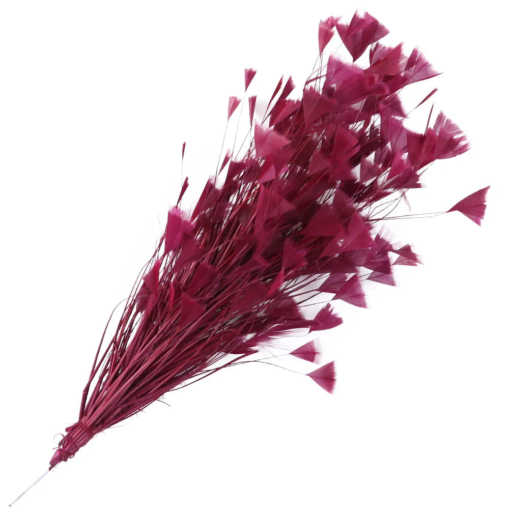 10-12Inch Feather Plumes
