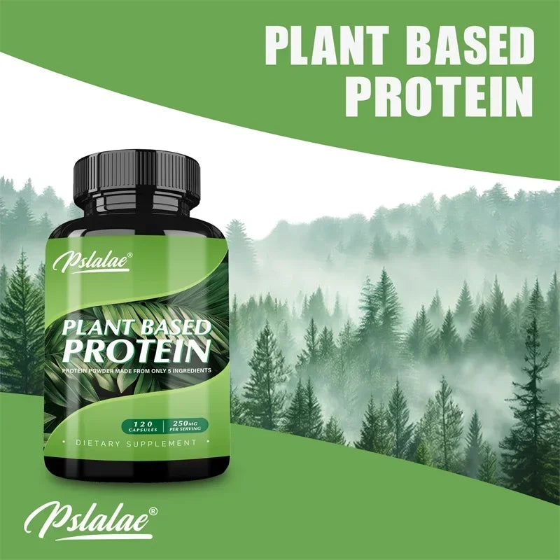 Plant Based Protein Supplement - Digestive Support, Promotes Intestinal Health, Antioxidant