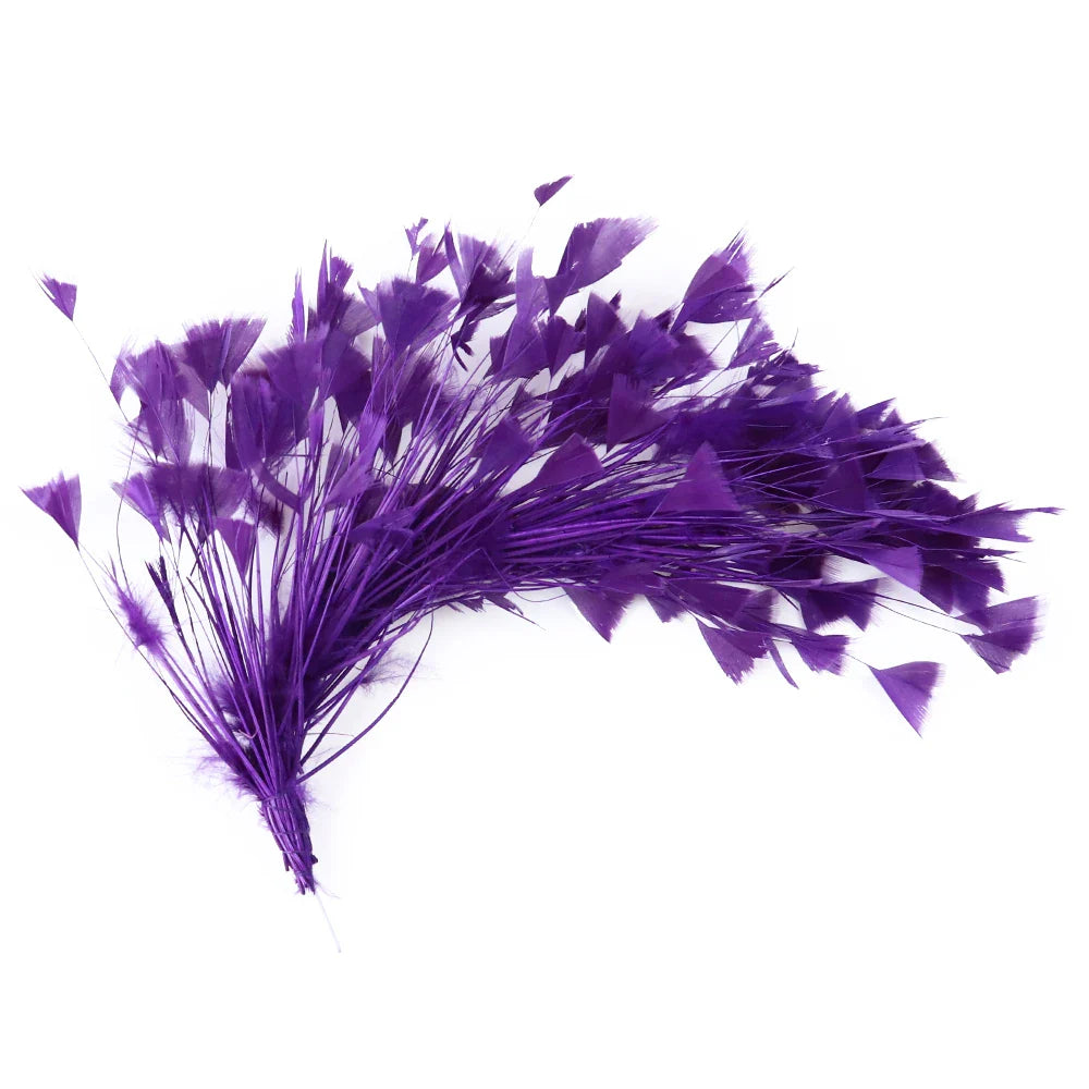 10-12Inch Feather Plumes