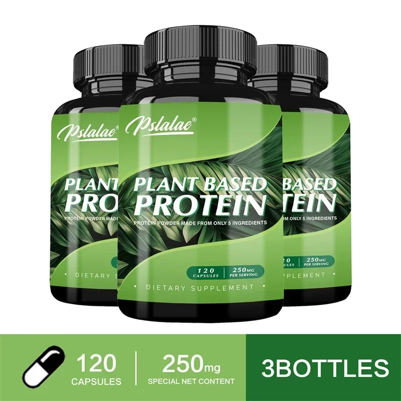 Plant Based Protein Supplement - Digestive Support, Promotes Intestinal Health, Antioxidant