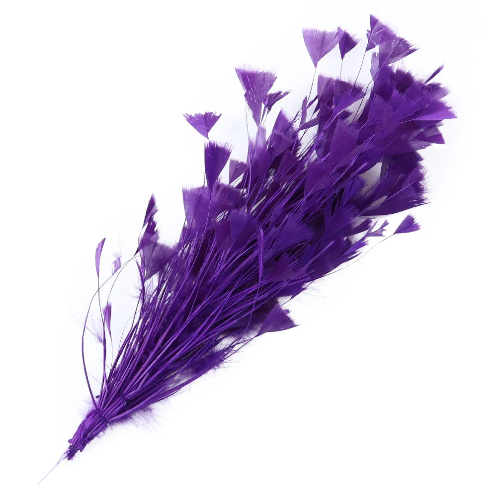 10-12Inch Feather Plumes
