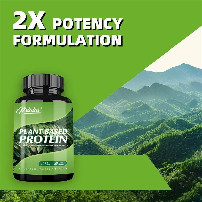 Plant Based Protein Supplement - Digestive Support, Promotes Intestinal Health, Antioxidant