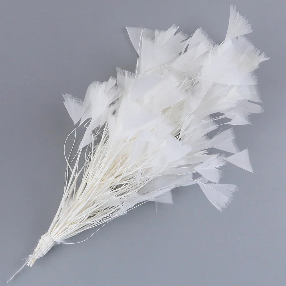 10-12Inch Feather Plumes
