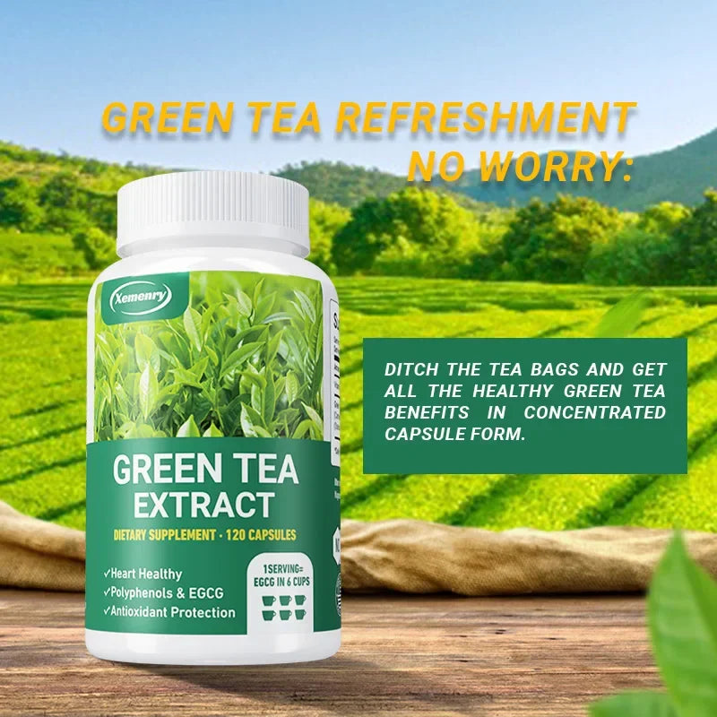 Green Tea Extract - Boosts Metabolism, Supports Heart and Brain Health, Enhances Memory, Immune System
